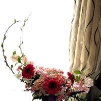 カーネーション,ガーベラ,スイートピー,スターチス,ネコヤナギの画像