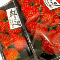 イチゴ,いただきもの,観葉植物を楽しむ,植物大好き,植物からパワー❣️の画像