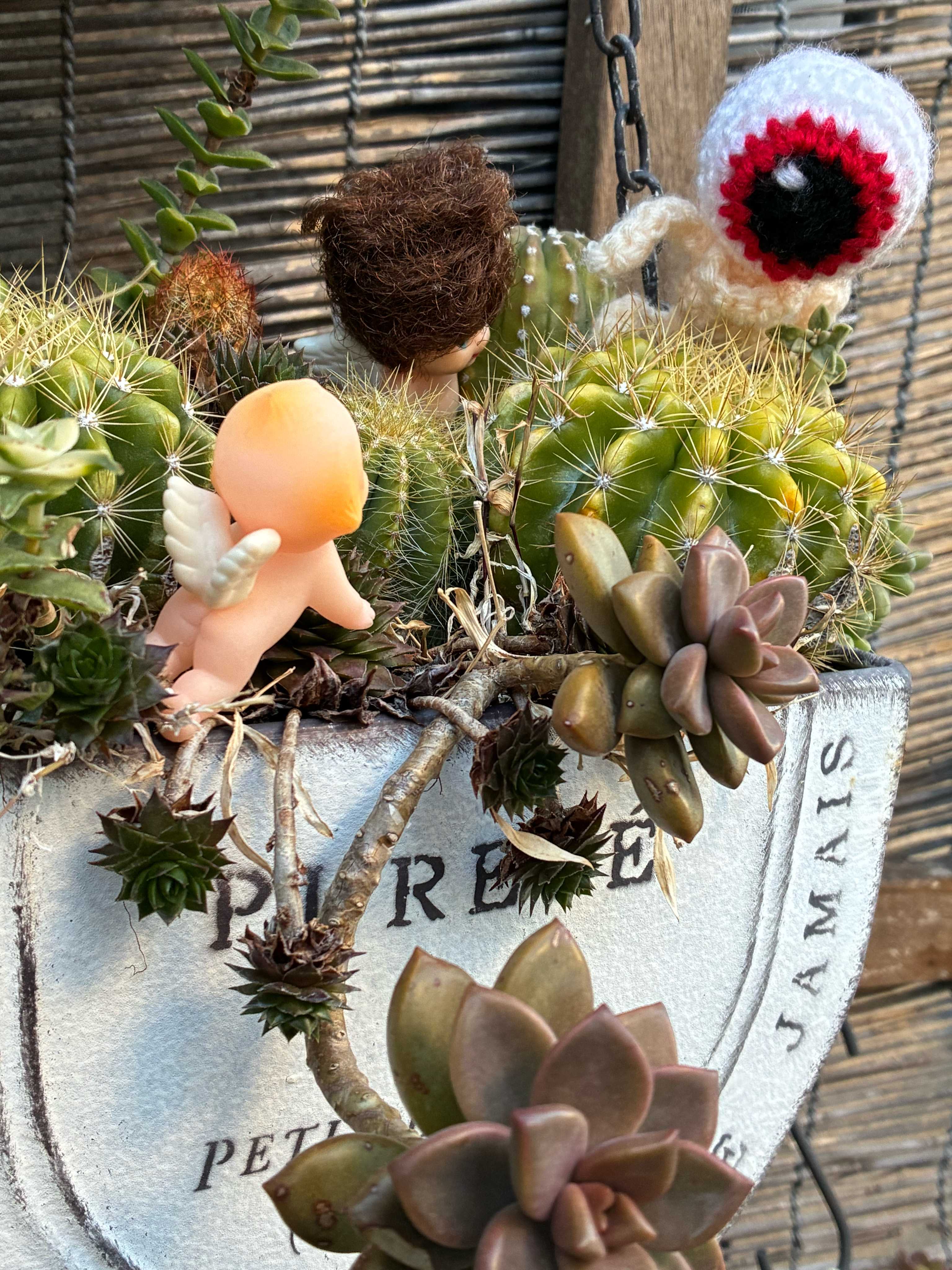 クリスマスローズの投稿画像 by みたりんさん｜サボテンとシクラメンと