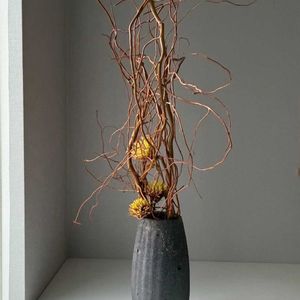 キク,ミモザ,雲竜柳(ドラゴン柳),いけばな,草月流の画像