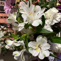 アルストロメリアの画像