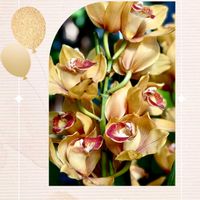 シンビジウム,お出かけ,須磨離宮公園,コラージュ仲間達,楽しもう2026♪の画像