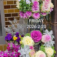 パンジ－,ハンギングバスケット,葉牡丹リース,シンビジウム☆の画像