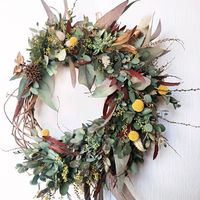 クラスペディア,ユキヤナギ,ユーカリ,ミモザ,その他部屋の画像