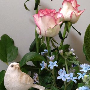 生け花,お出迎え,ディスプレイ,装花,歯医者にての画像