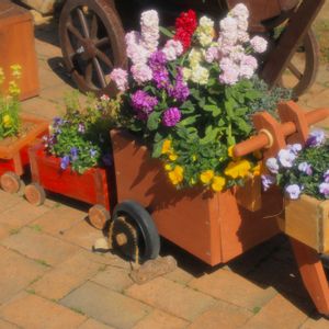プランター,プランター寄せ植え,花農丘公園,お出かけ先の画像