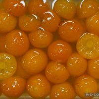 キンカン,金柑,金柑,金柑の甘露煮,芋焼酎お湯割りの画像