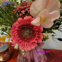 アゲラタム,ガーベラ,サイネリア,レースフラワー,GSのみなさんに感謝♡の画像