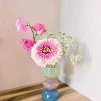 ガーベラ,ガーベラ,スイートピー,スイートピー,レースフラワーの画像