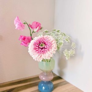 ガーベラ,ガーベラ,スイートピー,スイートピー,レースフラワーの画像