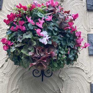 ハンギングバスケット,都会のオアシス,綺麗✨,赤坂プリンスクラシックハウス,コラージュの仲間達の画像