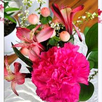 アルストロメリア,カーネーション,ハイビスカス,ヒペリカム,ユキヤナギの画像
