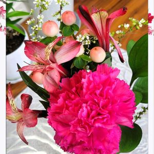 アルストロメリア,カーネーション,ハイビスカス,ヒペリカム,ユキヤナギの画像