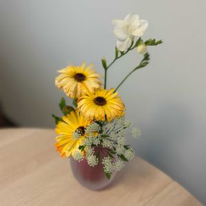 フリージア,レースフラワー,金盞花（きんせんか）,切り花,キッチンの画像