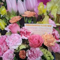 ウメ,スイセン,レウィシア,ローダンセマムリルピンク,繋がりに感謝✨の画像