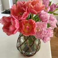 チューリップ,切り花,可愛い,ピンクの花,お花のある生活の画像