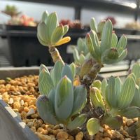 万宝,万宝,バルコニー/ベランダの画像