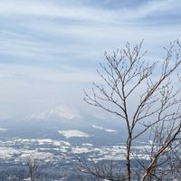 ツツジ,岩手山,ヤマザクラ,ヤマザクラ,姫神山の画像