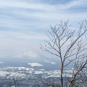ツツジ,岩手山,ヤマザクラ,ヤマザクラ,姫神山の画像