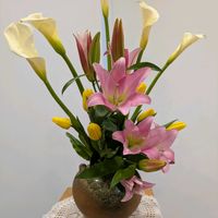 カラー,チューリップ,百合の画像