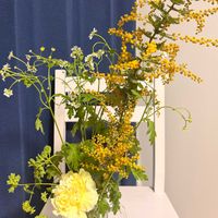 カーネーション,ミモザ,ブプレウルム,マトカリアの画像