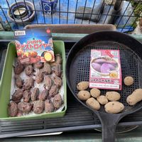 ジャガイモ,ながさき黄金,アンデスレッド,グランドペチカ,シャイニールビーの画像