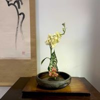 アルストロメリア,ストック,アグラオネマ,花のある暮らし,緑のある暮らしの画像