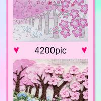 アリッサム,カルーナ,カルーナ,プリムラ　ジュリアン,八重咲きストックの画像