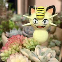 薄化粧,ミニベル,多肉植物,まつぴよ印,スペシャルニャンニャン祭りの画像