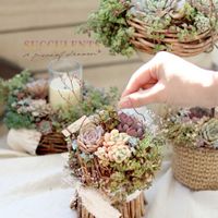 多肉植物,ベランダガーデン,多肉植物のある暮らし,多肉ワークショップ,ベランダの画像