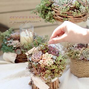 多肉植物,ベランダガーデン,多肉植物のある暮らし,多肉ワークショップ,ベランダの画像