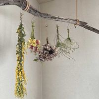 ドライフラワー,流木,フラワーインテリアの画像