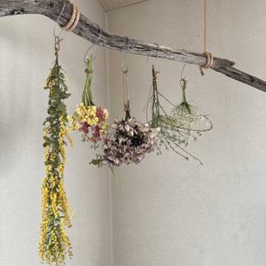 ドライフラワー,流木,フラワーインテリアの画像