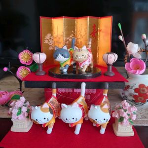 ベランダガーデン,癒し,寄せ鉢,夕焼け,今日のお花の画像