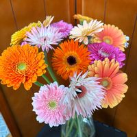 no green no life,春を感じる花,信楽狸倶楽部,flower_is,お花は癒し♡の画像