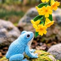 オウバイ,黄梅,カエル,黄色の花,春の訪れの画像