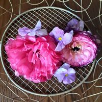 ポトス,ラナンキュラス,自己流アレンジ,ピンクワールドへ ようこそ,とにかくGS 楽しもう！の画像