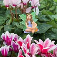 アリッサム,イベリス,マーガレット,ガーデンシクラメン,ガーデンシクラメンの画像