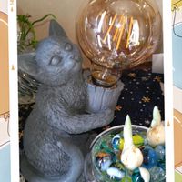 ツメレンゲ,ミニアイリス,桜吹雪,桜吹雪,レティキュラータの画像