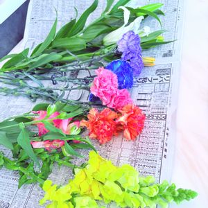 和室,リビング・ダイニング,その他部屋の画像