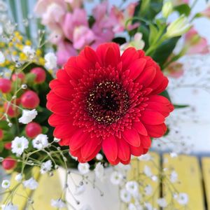 アルストロメリア,ガーベラ,キンギョソウ,ヒペリカム,かすみ草の画像