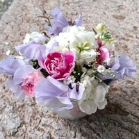 カーネーション,カーネーション,ストック,ストック,ユーカリの画像