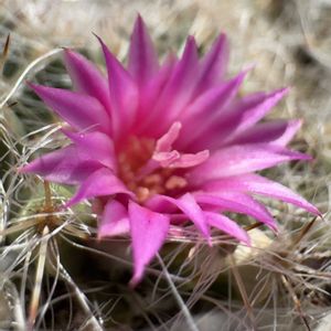 玉翁,温室,+安曇野の画像