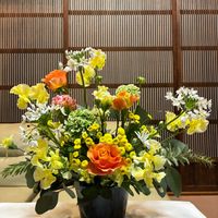 アリウム,アリウム,バラ,バラ,マーガレットの画像