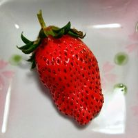 イチゴ,可愛い～( ´艸｀)♡,癒やし系❤︎,GS映え,ニャンニャン祭りの画像