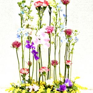 カーネーション,スイートピー,ミモザ,スプレーバラ,スプレーカーネーションの画像