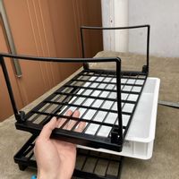 マツ,盆栽,初心者,種から,超初心者の画像