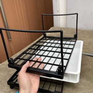 マツ,盆栽,初心者,種から,超初心者の画像