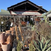 パキポディウム,アガベ,パキポディウム・グラキリス,アガベ 吉祥冠錦,ヒドノフィツム パプアナムの画像