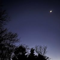 バラ,ばら バラ 薔薇,庭改造,庭のリビルドの画像